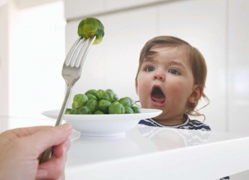 За здоровым питанием ребенка следит природа