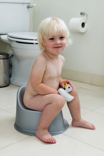 potty02.jpg