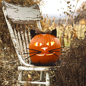 cat_pumpkin.jpg